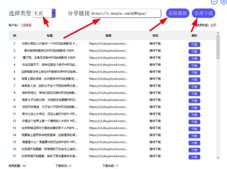 2023新版抖音批量解析下载工具-P52