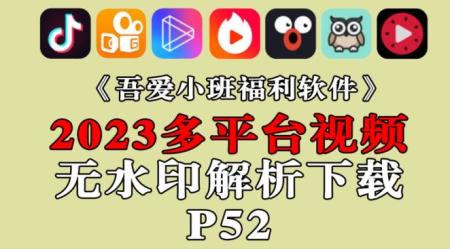 2023新版多平台视频无水印解析下载-P52